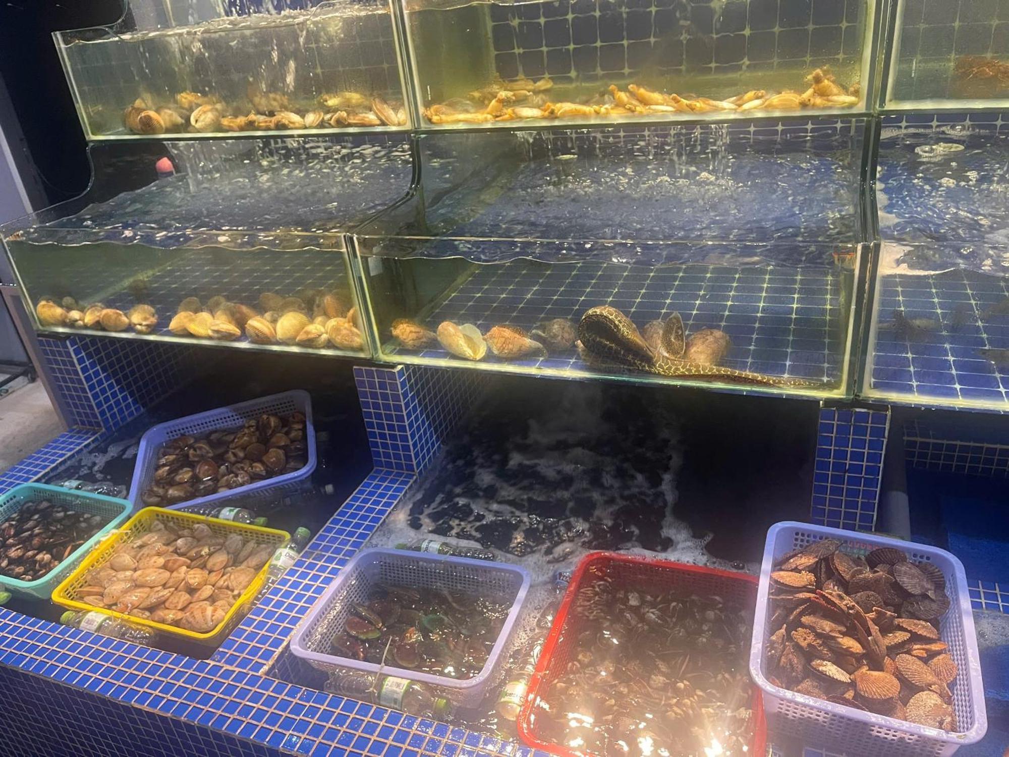 Ocean Beer Homestay Phan Thiết Extérieur photo